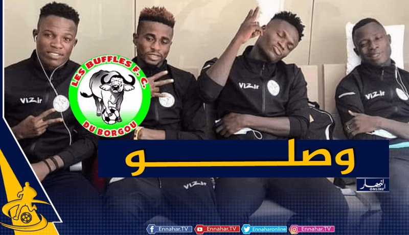 بعثة بافلز البنيني تحط الرحال بالجزائر تحسبا لمواجهة العميد