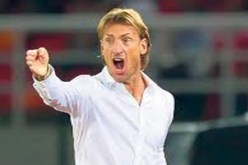 رونار يحلم بتأهيل زامبيا إلى مونديال 2014