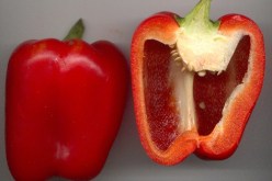 مهرب‮ ‬يضع‮ “‬الكيف‮” ‬وسط الفلفل الأحمر المغربي‮ ‬لتمريره إلى الجزائر