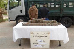 بالصور.. توقيف تاجري مخدرات و7 منقبين عن الذهب بجنوب الوطن