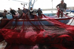 اعتقال 31 صيادا هنديا لانتهاكهم المياه الإقليمية الباكستانية