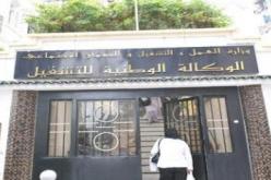فتح مناصب شغل في الإدماج المهني بالبيض