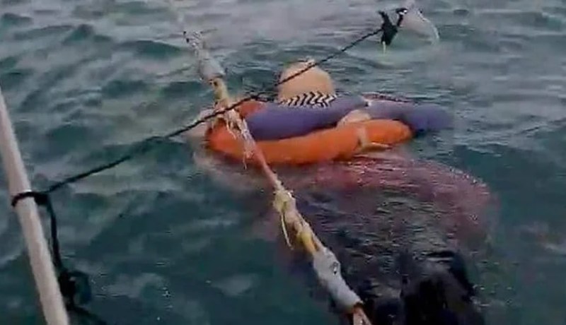 العثور على سيدة حية وسط البحر بعد عامين من اختفائها!