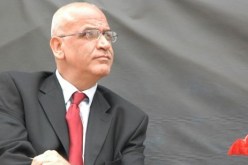 عريقات: لا تبادل للأراضي قبل إقرار مبدأ الدولتين