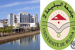 قسم الإيطالية في البليدة بـ 7 طلبة فقط!