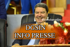 هامل سيطلق تطبيق جديد خاص بالصحفيين