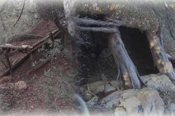 كشف وتدمير ثلاثة مخابئ للإرهابيين بأم البواقي