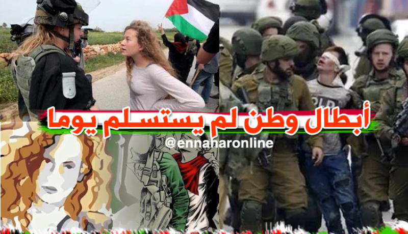 عندما يواجه أطفال فلسطين الجنود الصهاينة !!