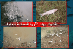 بالصور.. التلوث يُهدد الثروة السمكية ببجاية