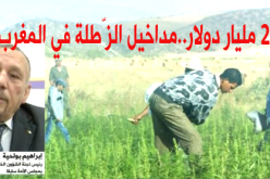 إبراهيم بولحية.. 23 مليار دولار مداخيل المغرب من “الزطلة”