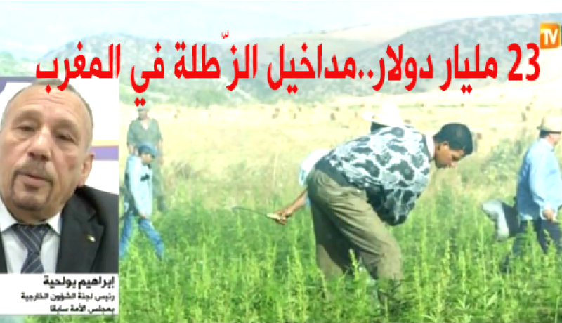 إبراهيم بولحية.. 23 مليار دولار مداخيل المغرب من “الزطلة”