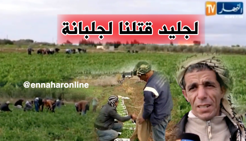 فلاحون يتحدون الضروف المناخية الصعبة في غليزان
