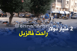 كمال الدين بلطرش: الجزائر تضيّع ما يقارب 2مليار دولارلعدم رسكلة النفايات