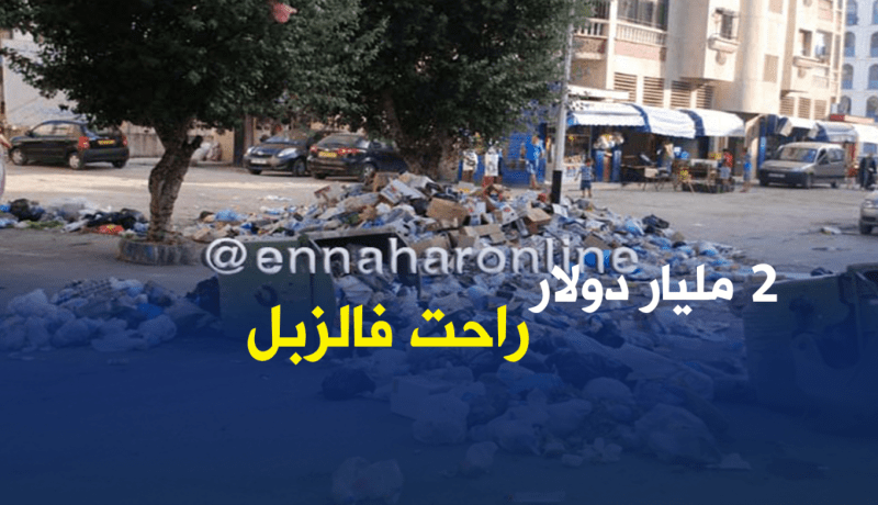 الجزائر تضيّع 2 مليار دولار سنويا بسبب النفايات