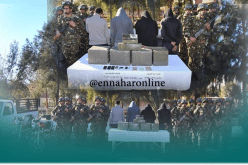 توقيف 4 بارونات وحجز أزيد من قنطار”زطلة” في بشار