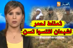 مدينة لحمر السياحية ببشار تعاني الإهمال والتهميش