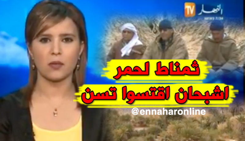 مدينة لحمر السياحية ببشار تعاني الإهمال والتهميش
