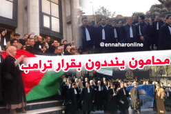 بالصور ..أصحاب الجبة السوداء يتضامنون مع فلسطين