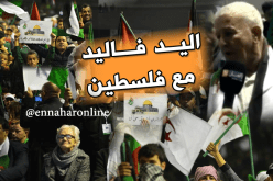 بالفيديو.. جزائريون مجنّدون لمحاربة الصهاينة دفاعا عن القدس
