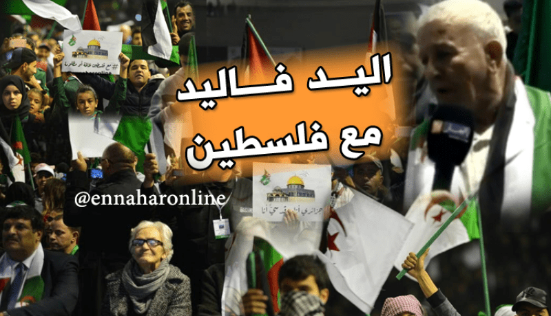 بالفيديو.. جزائريون مجنّدون لمحاربة الصهاينة دفاعا عن القدس