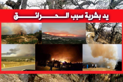 إيقاف 4 أشخاص أشعلوا النيران في غابات عنابة
