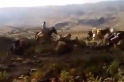 بالفيديو : هكذا يتم تهريب الوقود الجزائري عبر الحدود الجزائرية التونسية