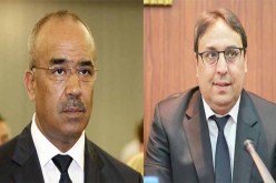 بدوي وبدة «سمحو فالكونجي»!