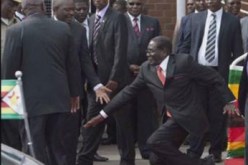 بالفيديو  الرئيس الزيمبابوي يسقط أرضا