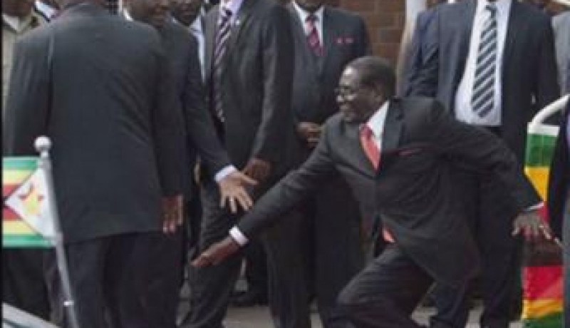بالفيديو  الرئيس الزيمبابوي يسقط أرضا