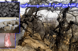 مدير الغابات: “أطراف تشعل الحرائق لبيع الفحم في عيد الأضحى”!