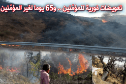 تعويض متضرري الحرائق غير المؤمّنين بعد 31 أكتوبر القادم