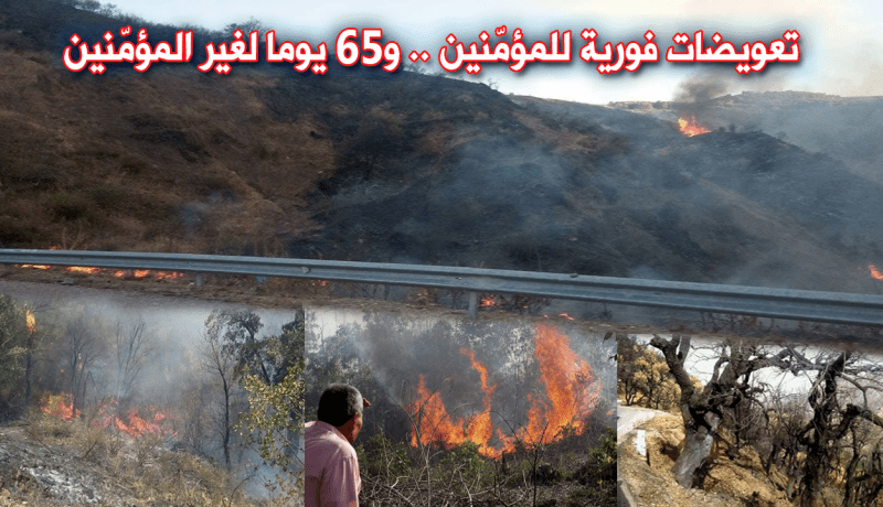 تعويض متضرري الحرائق غير المؤمّنين بعد 31 أكتوبر القادم