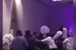 بالفيديو… حفل زفاف يتحول إلى حلبة معركة