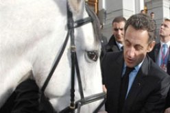 حصان ساركوزي يكلف الخزينة 100 مليون سنتيم
