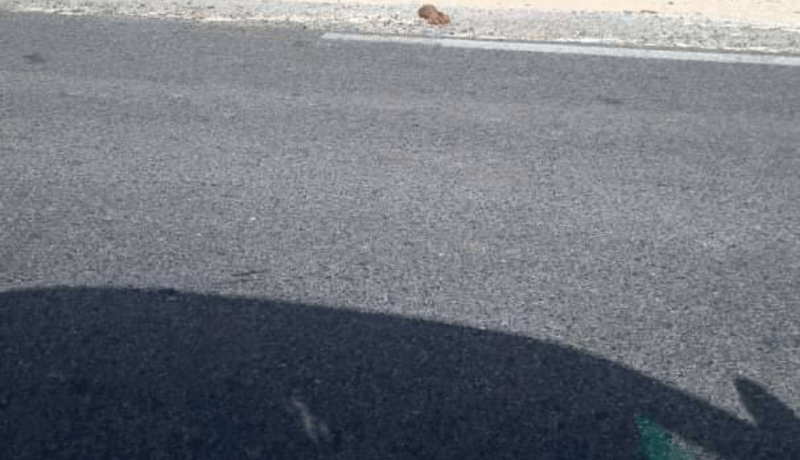 الوادي.. هذه حقيقة صورة اليد المقطوعة المرمية في الطريق