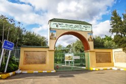 تيارت.. توقيف شخصين أوهما إمرأة بالإستفادة من سكن في الزمالة