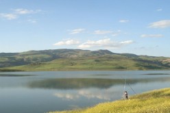 ارتفاع منسوب سد عين الدالية بسوق أهراس إلى 70 مليون متر مكعب