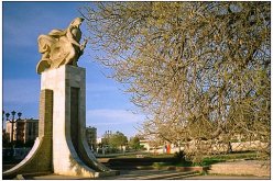 البويرة تتزين بوجه عمراني حضري جديد