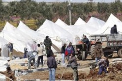 نزوح أكثر من 200 ألف شخص عن حلب في الأسابيع الأخيرة