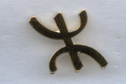 مشاركة 10 دور نشر في الصالون المصغر للكتاب الأمازيغي بوهران