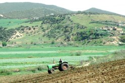 بعث برنامج لاستصلاح الأراضي غير المستغلة بالمدية