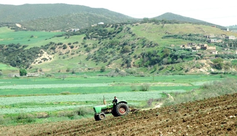 بعث برنامج لاستصلاح الأراضي غير المستغلة بالمدية