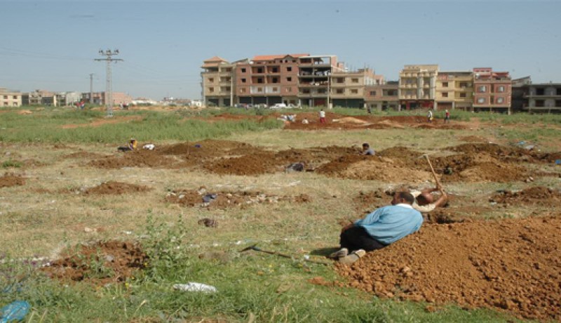 تجريد كافة الفلاحين غير المنتجين من أراضيهم لإنجاز مليون وحدة سكنية