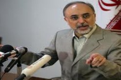 صالحي : ايران مستعدة لمساعدة الفلسطينيين في مختلف المجالات