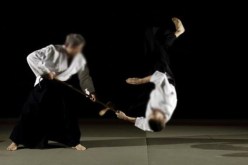 مسبوق يحرّض أبطالا في «الأيكيدو» على سرقة عشرات السيارات في العاصمة