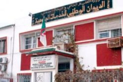 مدير جديد للخدمات الجامعية لولاية تيارت