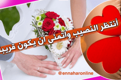 يا شريك العمر لك بيتي وحياتي وكل الإمتيازات