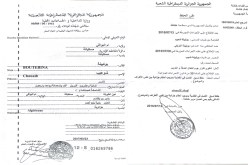 «ميڤري» يتزوج وينجب أبناء ..يدير مشاريع ويبرم صفقات ويسحب أرصدة من البنوك باسم شقيقه!