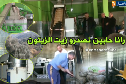 أصحاب معاصر الزيتون بسكيكدة يراهنون على التّصدير