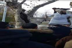 “عباس المهبول” يزلزل سطيف ويخرب تمثال “عين الفوارة”!